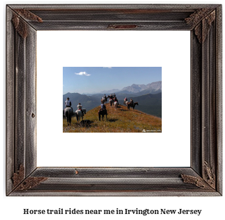 horse trail rides near me in Irvington, New Jersey